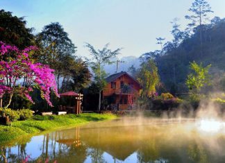 Những điểm tham quan không thể bỏ qua khi đi tour du lịch Đà lạt