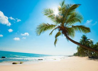 Du lịch tự túc Nam du cần chuẩn bị những gì