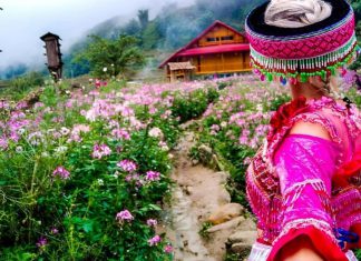Mua tour sapa tết nguyên đán hành trình được nhiều du khách yêu thích tour sapa