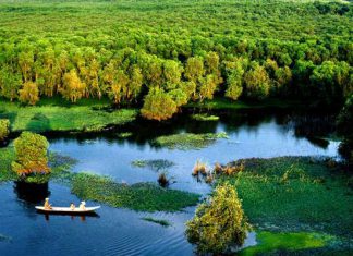 Danh sách 5 điểm tham quan nổi tiếng nhất trong chuyến du lịch Cà Mau Danh sách 5 điểm tham quan nổi tiếng nhất trong chuyến du lịch Cà Mau