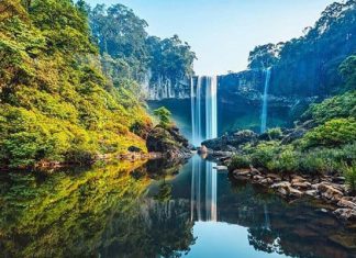 Nên mua loại đặc sản nào trong chuyến du lịch Quảng Ngãi? Nên mua loại đặc sản nào trong chuyến du lịch Quảng Ngãi?