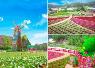 Vườn hoa Fresh Garden: Điểm du lịch vạn người mê tại Đà Lạt