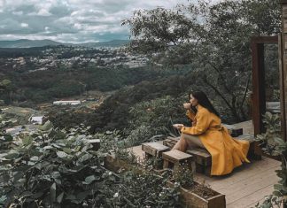 Top 4 quán trà chiều không thể bỏ qua khi du lịch Đà Lạt