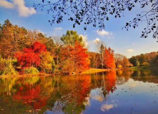 Tham khảo kinh nghiệm du lịch Thổ Nhĩ Kỳ mùa thu cực hữu ích cho bạn Tham khảo kinh nghiệm du lịch Thổ Nhĩ Kỳ mùa thu cực hữu ích cho bạn