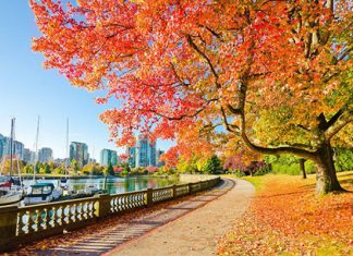 Tham khảo kinh nghiệm chuẩn bị cho chuyến du lịch Canada mùa thu Tham khảo kinh nghiệm chuẩn bị cho chuyến du lịch Canada mùa thu