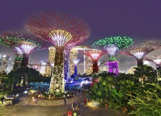 Kinh nghiệm khám phá Garden By The Bay trong tour du lịch Singapore