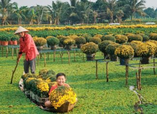 Cẩm nang du lịch: ăn gì, chơi gì, ở đâu Đồng Tháp