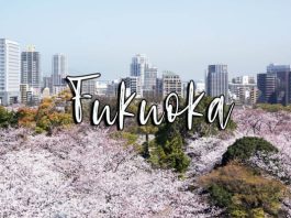 Trọn bộ kinh nghiệm du lịch thành phố Fukuoka nổi tiếng Nhật Bản